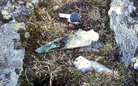 Wreckage in 2007.